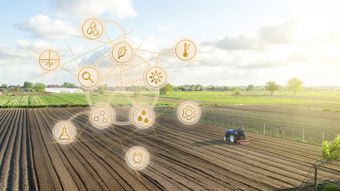 Innowacje w branży spożywczej: Klucz do sukcesu Katolik Group