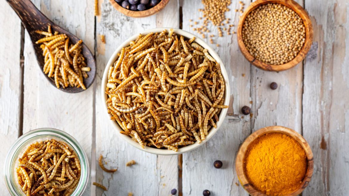 Owady jadalne: Jak zintegrować je z codziennym menu dla lepszego zdrowia