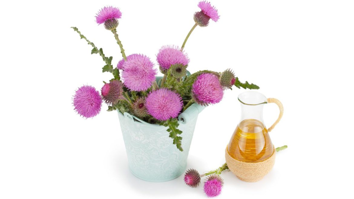 Odkryj tajemnice makuchu z wiesiołka: zalety i sposób działania