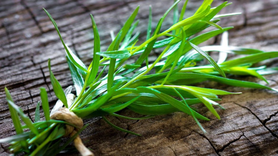 Jak wykorzystać estragon w kuchni: 5 pomysłów na pyszne potrawy