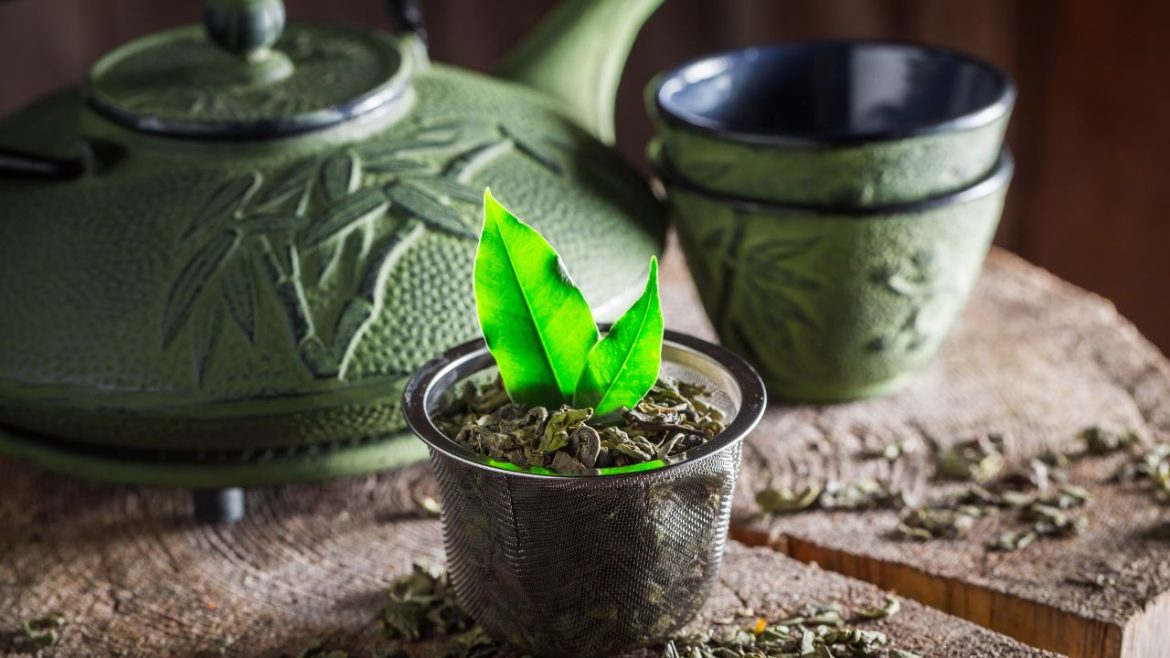 Odkrywamy tajemnice Senchy – najbardziej popularnej zielonej herbaty w Japonii